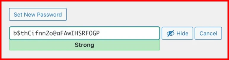 Advanced wordpress password technique