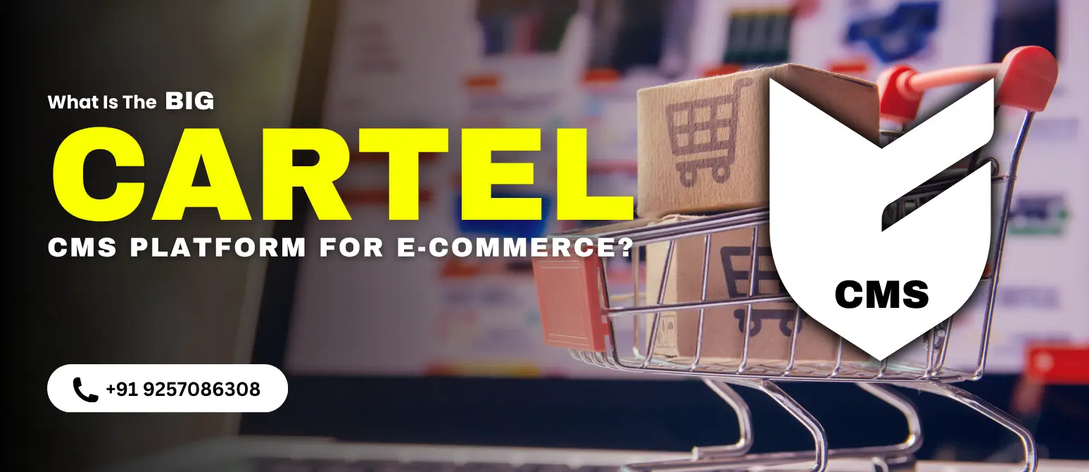 What Is Big Cartel and How Does Its CMS Platform Power E-commerce Stores?